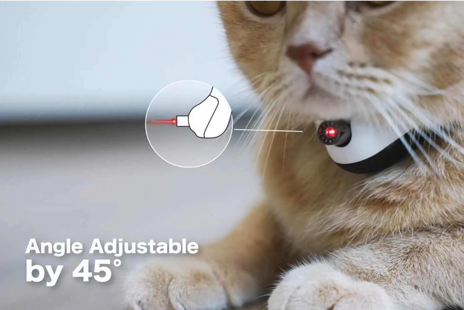 Wearable LED Smart Cat Laser Collar- Amusing Collar for Your Interactive Cat