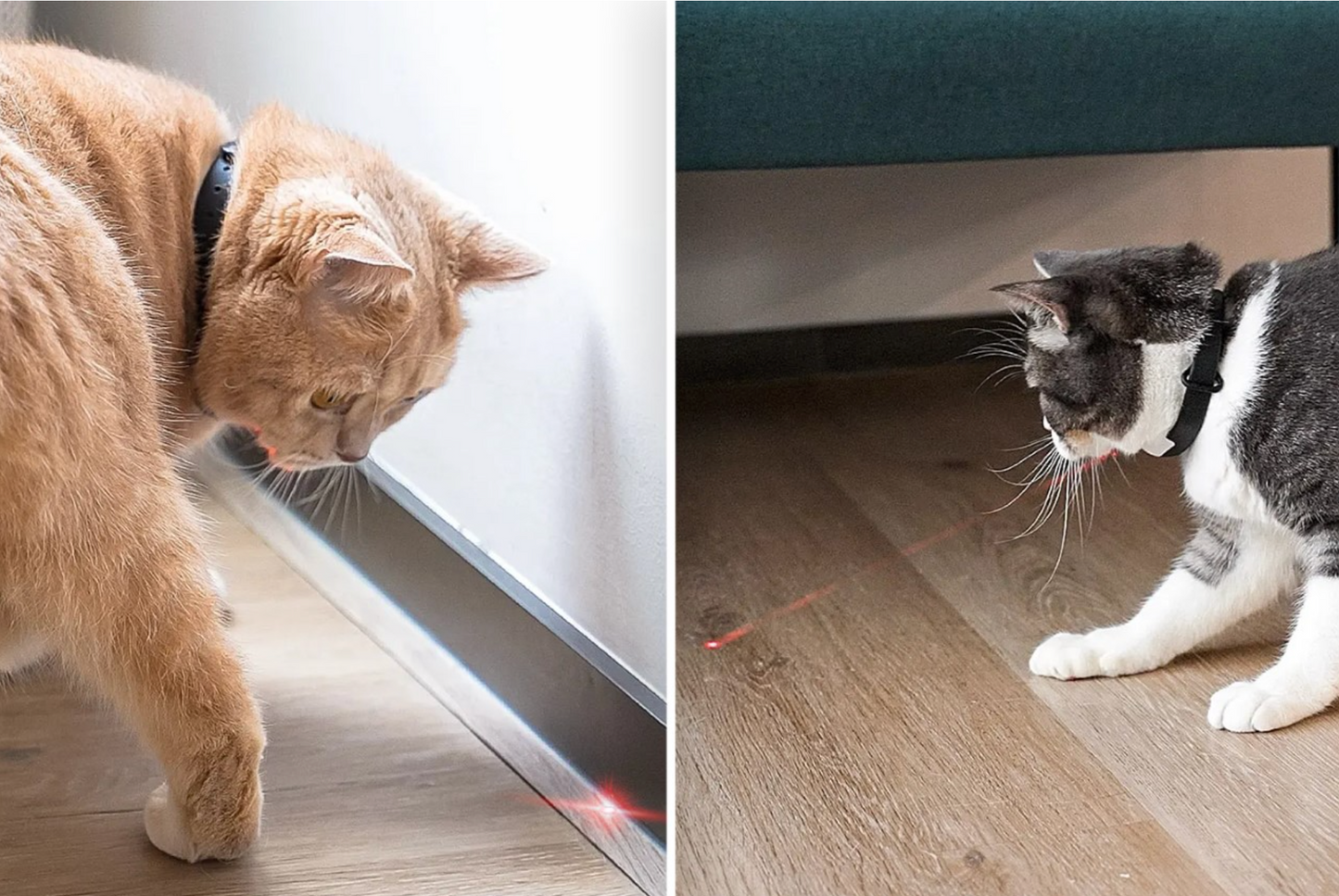 Wearable LED Smart Cat Laser Collar- Amusing Collar for Your Interactive Cat